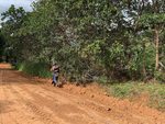 Thumb_sao_francisco2